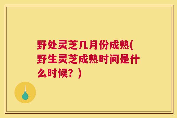 野处灵芝几月份成熟(野生灵芝成熟时间是什么时候?) 野处灵芝几月份成熟(野生灵芝成熟时间是什么时候?)