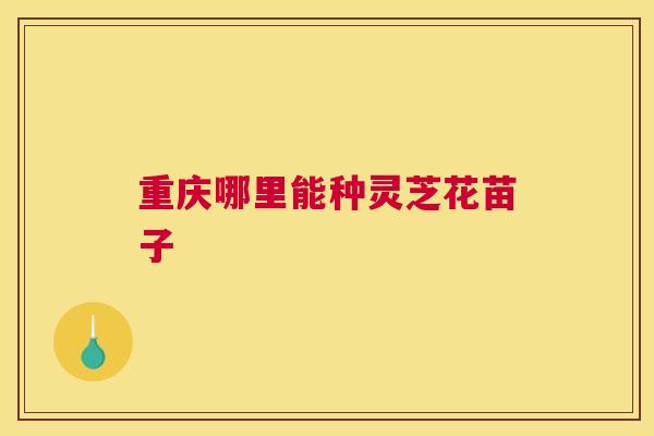重庆哪里能种灵芝花苗子