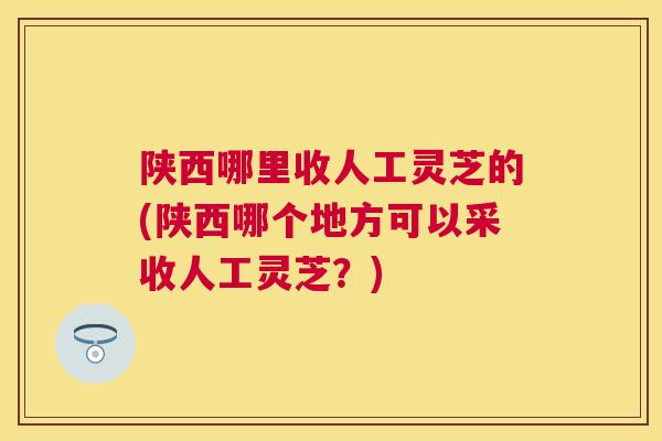 陕西哪里收人工灵芝的(陕西哪个地方可以采收人工灵芝？)