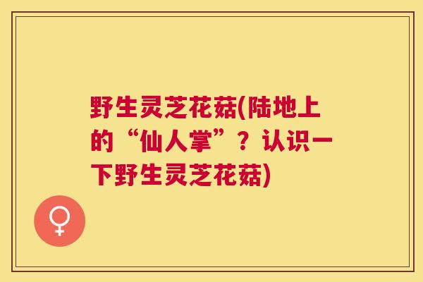 野生灵芝花菇(陆地上的“仙人掌”?认识一下野生灵芝花菇) 野生灵芝花菇(陆地上的“仙人掌”?认识一下野生灵芝花菇)