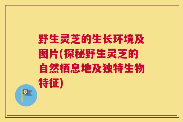 野生灵芝的生长环境及图片(探秘野生灵芝的自然栖息地及独特生物特征)