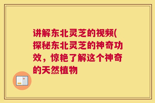 讲解东北灵芝的视频(探秘东北灵芝的神奇功效，惊艳了解这个神奇的天然植物