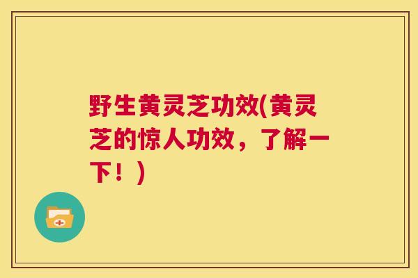 野生黄灵芝功效(黄灵芝的惊人功效，了解一下！)