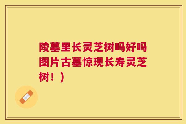 陵墓里长灵芝树吗好吗图片古墓惊现长寿灵芝树！)