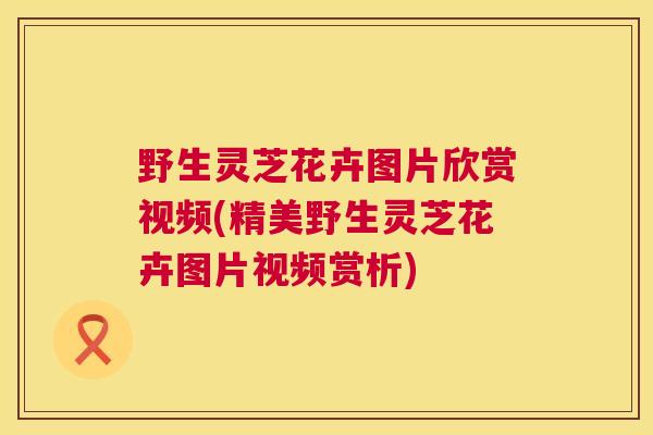 野生灵芝花卉图片欣赏视频(精美野生灵芝花卉图片视频赏析)