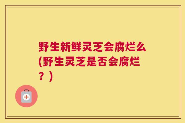 野生新鲜灵芝会腐烂么(野生灵芝是否会腐烂？)