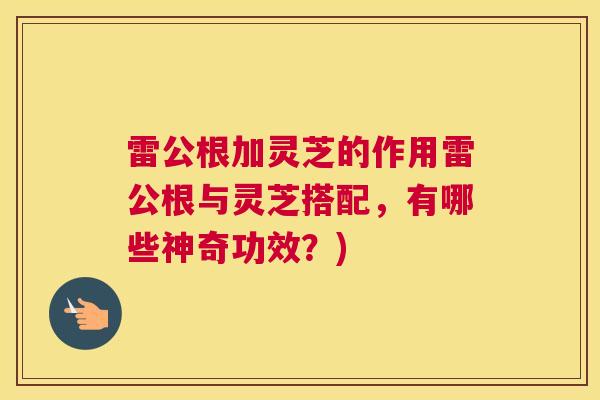雷公根加灵芝的作用雷公根与灵芝搭配，有哪些神奇功效？)