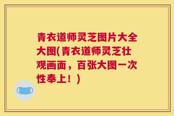 青衣道师灵芝图片大全大图(青衣道师灵芝壮观画面，百张大图一次性奉上！)