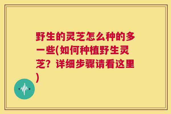野生的灵芝怎么种的多一些(如何种植野生灵芝?详细步骤请看这里) 野生的灵芝怎么种的多一些(如何种植野生灵芝?详细步骤请看这里)