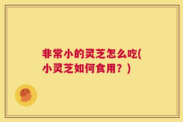 非常小的灵芝怎么吃(小灵芝如何食用?) 非常小的灵芝怎么吃(小灵芝如何食用?)
