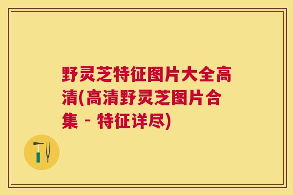 野灵芝特征图片大全高清(高清野灵芝图片合集 - 特征详尽)
