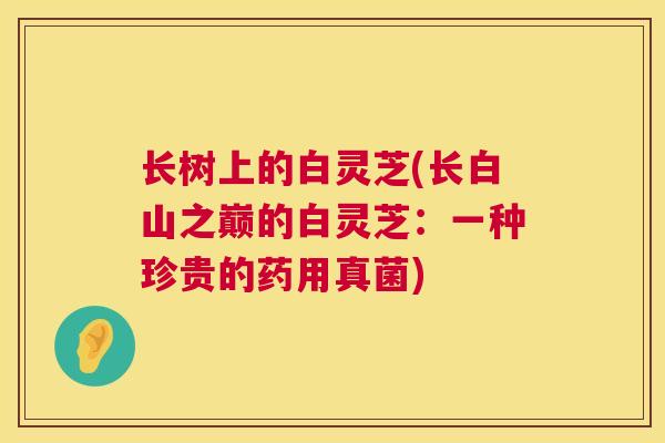 长树上的白灵芝(长白山之巅的白灵芝：一种珍贵的药用真菌)