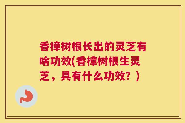 香樟树根长出的灵芝有啥功效(香樟树根生灵芝，具有什么功效？)