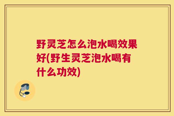 野灵芝怎么泡水喝效果好(野生灵芝泡水喝有什么功效)