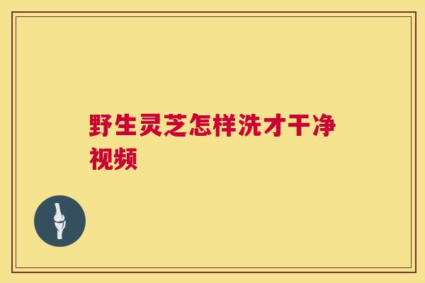 野生灵芝怎样洗才干净视频