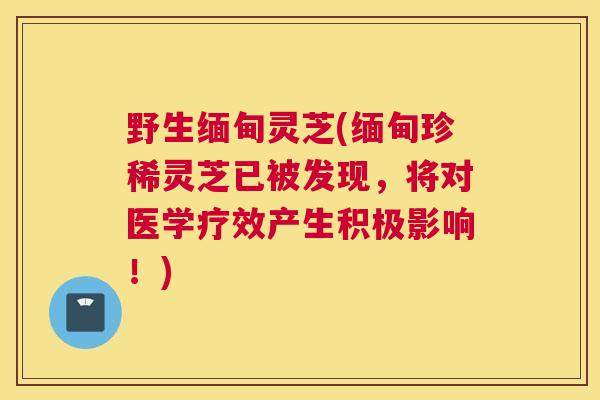 野生缅甸灵芝(缅甸珍稀灵芝已被发现,将对医学疗效产生积极影响!) 野生缅甸灵芝(缅甸珍稀灵芝已被发现,将对医学疗效产生积极影响!)