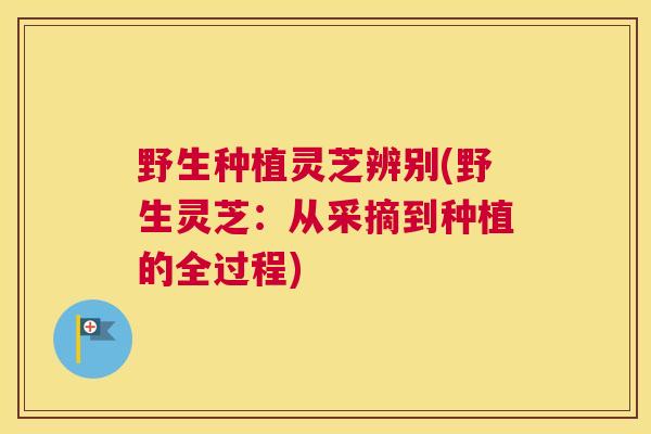 野生种植灵芝辨别(野生灵芝：从采摘到种植的全过程)