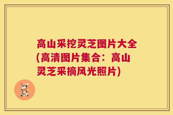 高山采挖灵芝图片大全(高清图片集合：高山灵芝采摘风光照片)