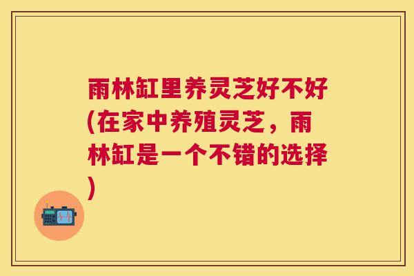雨林缸里养灵芝好不好(在家中养殖灵芝,雨林缸是一个不错的选择) 雨林缸里养灵芝好不好(在家中养殖灵芝,雨林缸是一个不错的选择)