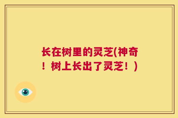 长在树里的灵芝(神奇！树上长出了灵芝！)