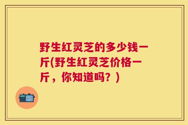 野生红灵芝的多少钱一斤(野生红灵芝价格一斤，你知道吗？)