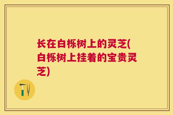 长在白栎树上的灵芝(白栎树上挂着的宝贵灵芝)
