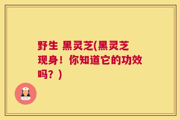 野生 黑灵芝(黑灵芝现身！你知道它的功效吗？)