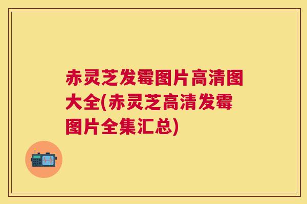 赤灵芝发霉图片高清图大全(赤灵芝高清发霉图片全集汇总)