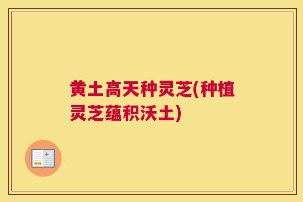 黄土高天种灵芝(种植灵芝蕴积沃土)