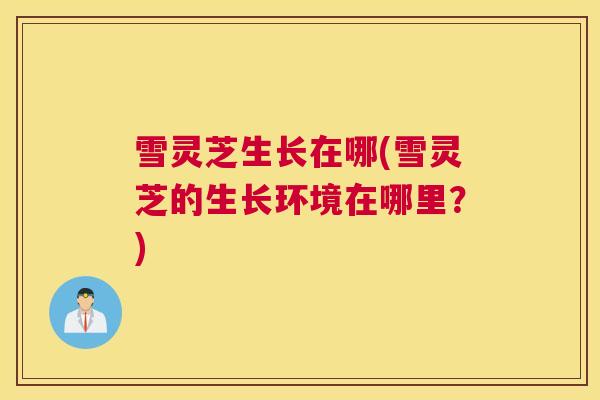 雪灵芝生长在哪(雪灵芝的生长环境在哪里？)