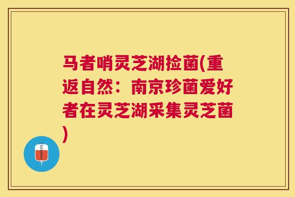 马者哨灵芝湖捡菌(重返自然：南京珍菌爱好者在灵芝湖采集灵芝菌)