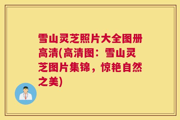 雪山灵芝照片大全图册高清(高清图：雪山灵芝图片集锦，惊艳自然之美)