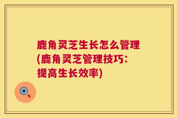 鹿角灵芝生长怎么管理(鹿角灵芝管理技巧：提高生长效率)