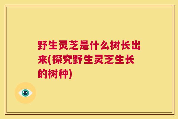 野生灵芝是什么树长出来(探究野生灵芝生长的树种)