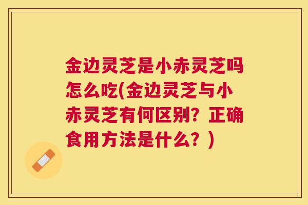 金边灵芝是小赤灵芝吗怎么吃(金边灵芝与小赤灵芝有何区别？正确食用方法是什么？)