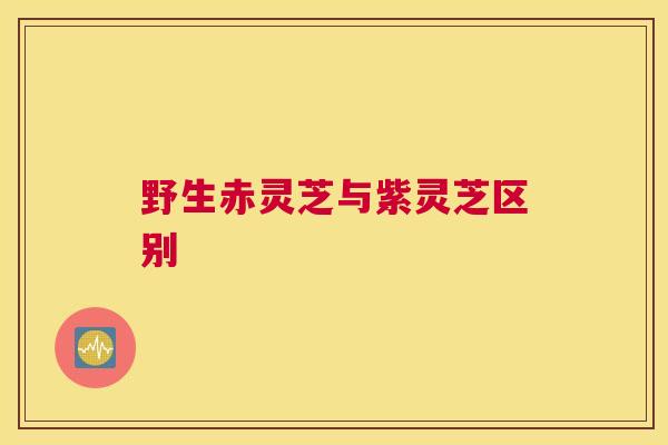 野生赤灵芝与紫灵芝区别