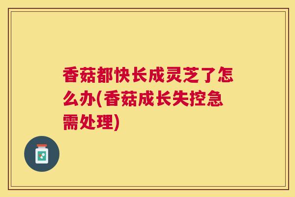香菇都快长成灵芝了怎么办(香菇成长失控急需处理)