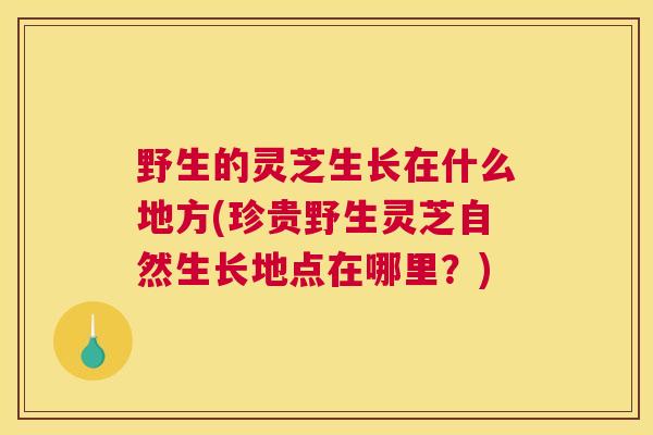 野生的灵芝生长在什么地方(珍贵野生灵芝自然生长地点在哪里？)