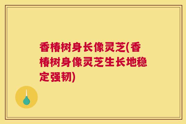 香椿树身长像灵芝(香椿树身像灵芝生长地稳定强韧) 香椿树身长像灵芝(香椿树身像灵芝生长地稳定强韧)