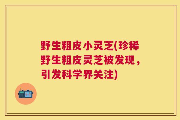 野生粗皮小灵芝(珍稀野生粗皮灵芝被发现，引发科学界关注)