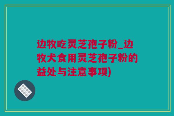 边牧吃灵芝孢子粉_边牧犬食用灵芝孢子粉的益处与注意事项)