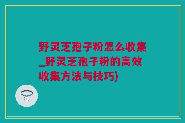 野灵芝孢子粉怎么收集_野灵芝孢子粉的高效收集方法与技巧)
