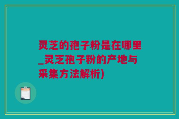 灵芝的孢子粉是在哪里_灵芝孢子粉的产地与采集方法解析)