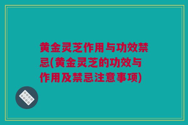 黄金灵芝作用与功效禁忌(黄金灵芝的功效与作用及禁忌注意事项) 黄金灵芝作用与功效禁忌(黄金灵芝的功效与作用及禁忌注意事项)