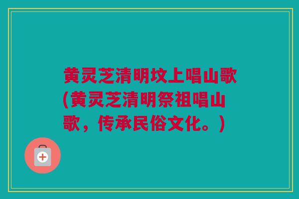 黄灵芝清明坟上唱山歌(黄灵芝清明祭祖唱山歌，传承民俗文化。)