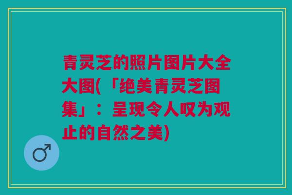 青灵芝的照片图片大全大图(「绝美青灵芝图集」：呈现令人叹为观止的自然之美)