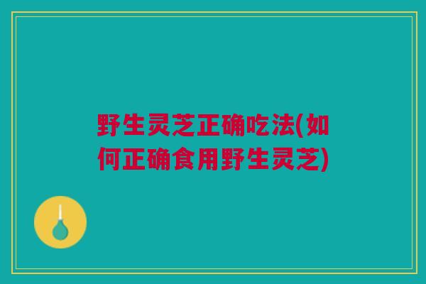 野生灵芝正确吃法(如何正确食用野生灵芝)