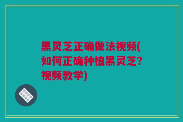 黑灵芝正确做法视频(如何正确种植黑灵芝？视频教学)