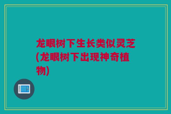 龙眼树下生长类似灵芝(龙眼树下出现神奇植物)