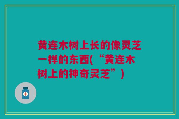 黄连木树上长的像灵芝一样的东西(“黄连木树上的神奇灵芝”)